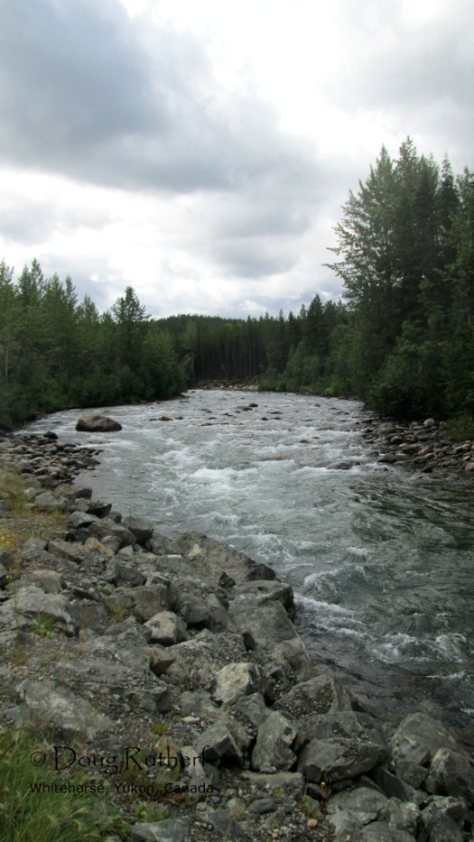 Tanzilla River, near Dease Lake, BC.
